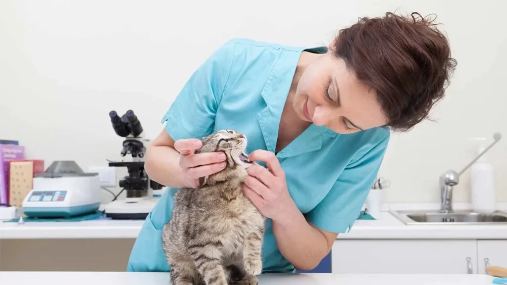 Tests for Vomiting Cats